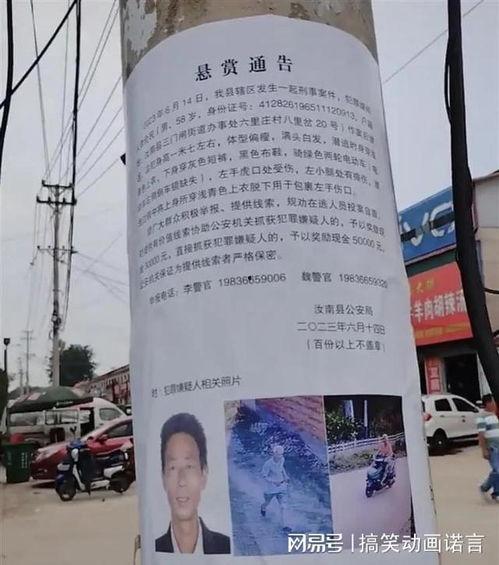 汝南一高爆料事件最新,真相与争议交织，校园风云再起